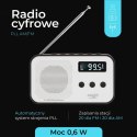 Radio ADLER AD 1907 Adler