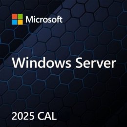Microsoft Windows Svr CAL 2025 PL 5Clt User CAL OEM Microsoft