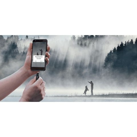SanDisk Ultra Dual GO 256GB Typ C SanDisk