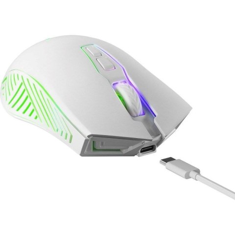 DEFENDER MYSZ BEZPRZEWODOWA PANDORA GM-502 RF 3200DPI 7P BIAŁA 52502 DEFENDER