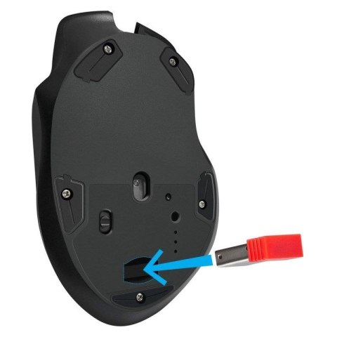 DEFENDER MYSZ GM-213 THUNDER RF 1600dpi 8P CZARNA DEFENDER