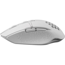 DEFENDER MYSZ GM-514 GLORY OPTIC RF RGB 3200DPI 7P BIAŁA 52513 DEFENDER