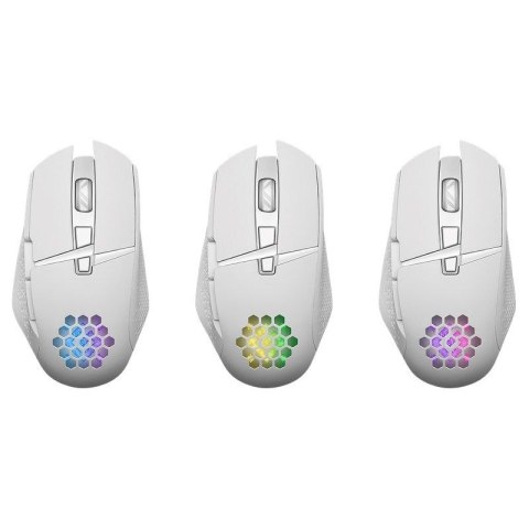 DEFENDER MYSZ GM-514 GLORY OPTIC RF RGB 3200DPI 7P BIAŁA 52513 DEFENDER