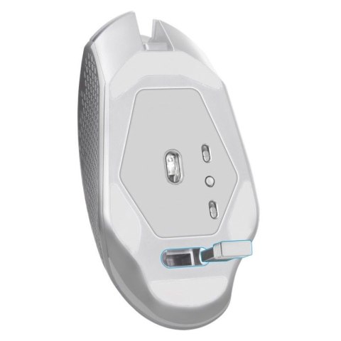 DEFENDER MYSZ GM-514 GLORY OPTIC RF RGB 3200DPI 7P BIAŁA 52513 DEFENDER