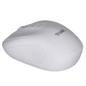 Mysz TRUST Primo Wireless Mouse matt white Trust