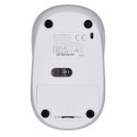 Mysz TRUST Primo Wireless Mouse matt white Trust