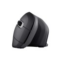 Mysz TRUST Verro Ergonomic Wireless Mouse Trust