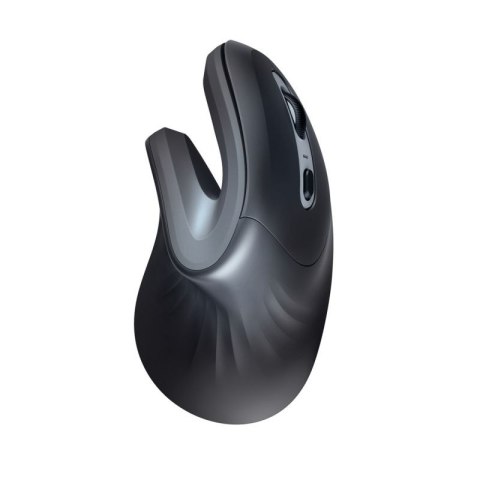 Mysz TRUST Verro Ergonomic Wireless Mouse Trust
