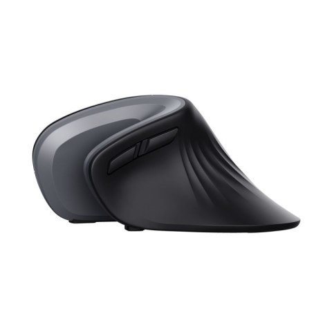 Mysz TRUST Verro Ergonomic Wireless Mouse Trust
