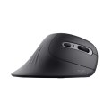 Mysz TRUST Verro Ergonomic Wireless Mouse Trust