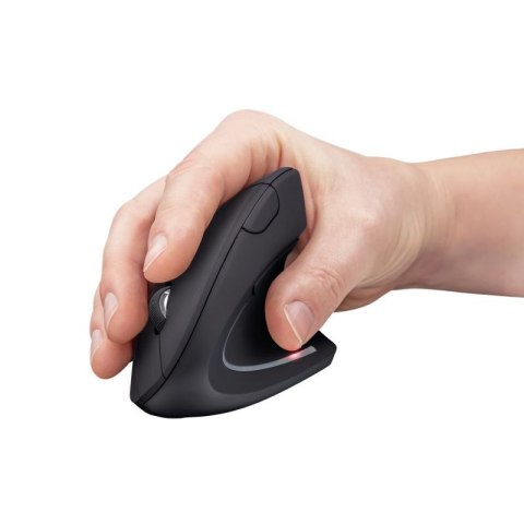 Mysz TRUST Verto Wireless Ergonomic Trust