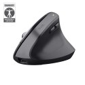 Mysz Trust BAYO+ ERGONOMIC WIRELESS Black Trust