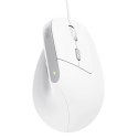 Mysz Trust BAYO II ERGONOMIC White Trust