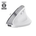 Mysz ergonomiczna TRUST Bayo+ Multidevice Wireless Trust