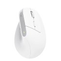 Mysz ergonomiczna TRUST Bayo+ Multidevice Wireless Trust