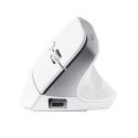 Mysz ergonomiczna TRUST Bayo+ Multidevice Wireless Trust