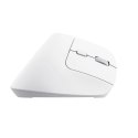 Mysz ergonomiczna TRUST Bayo+ Multidevice Wireless Trust