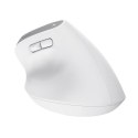 Mysz ergonomiczna TRUST Bayo+ Multidevice Wireless Trust