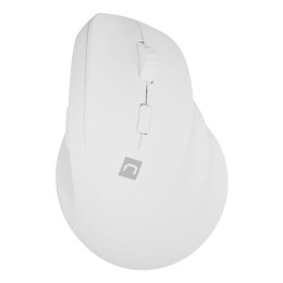 NATEC MYSZ WERTYKALNA CRAKE 2 BEZPRZEWODOWA 2400DPI BT 5.2 +2.4GHZ BIAŁA NATEC