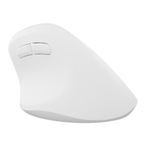 NATEC MYSZ WERTYKALNA CRAKE 2 BEZPRZEWODOWA 2400DPI BT 5.2 +2.4GHZ BIAŁA NATEC
