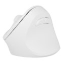 NATEC MYSZ WERTYKALNA CRAKE 2 BEZPRZEWODOWA 2400DPI BT 5.2 +2.4GHZ BIAŁA NATEC