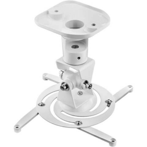TECHLY UCHWYT DO PROJEKTORA SUFITOWY 22CM 10KG BIA TECHly
