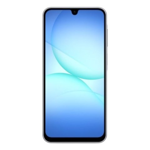 Samsung Galaxy A17 (A175) DS 4/128GB Grey Samsung