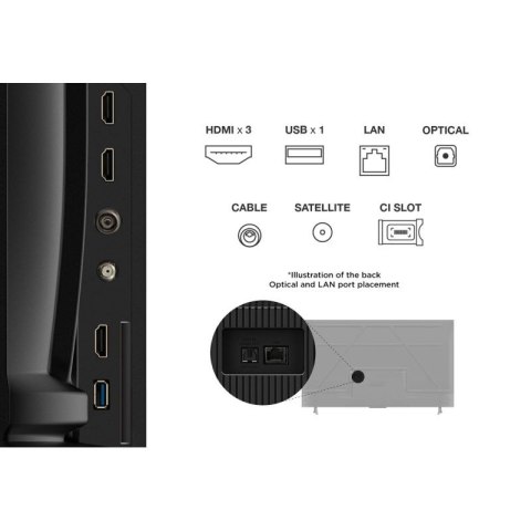 Telewizor TCL 55V6C DLED 55'' 4K Ultra HD Google TV Dolby Atmos DVB-T2 Metaliczny TCL