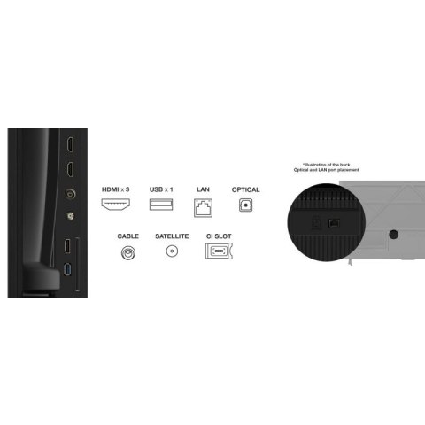 Telewizor TCL 65P69K LED 65'' 4K Ultra HD Google TV Dolby Atmos DVB-T2 Czarny TCL
