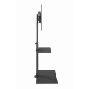 GEMBIRD STOJAK PODŁOGOWY POD TELEWIZOR 32" - 55", Gembird