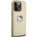 Etui Hello Kitty Leather Kitty Head MagSafe na iPhone 15 Pro - złote Hello Kitty