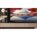 Soundbar TCL S45HE 2.0 kan.100W Bluetooth 5.2 Dolby Atmos Tytanowy TCL