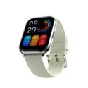 Smartwatch HiFuture Zone 2 - szary HiFuture