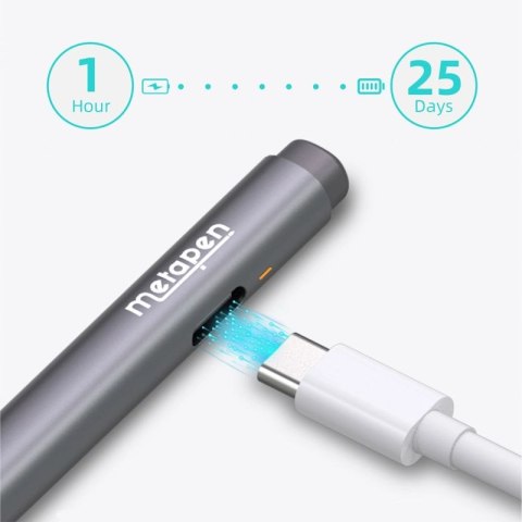 Rysik Metapen Pen M2 - szary Hikvision