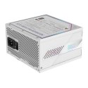Zasilacz Gigabyte Aorus Elite Platinum ATX 3.1 ICE 850W Gigabyte
