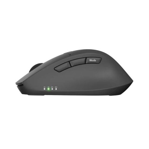 NATEC MYSZ BEZPRZEWODOWA KITE CICHA 4000DPI CZARNA NATEC