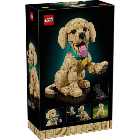 LEGO 11384 Icons - Szczeniak golden retriever Lego