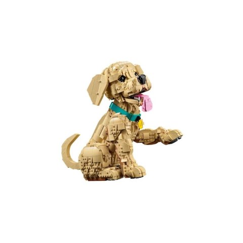 LEGO 11384 Icons - Szczeniak golden retriever Lego
