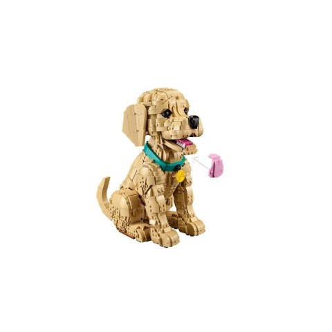 LEGO 11384 Icons - Szczeniak golden retriever Lego