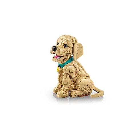 LEGO 11384 Icons - Szczeniak golden retriever Lego