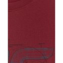 T-shirt regular z nadrukiem męski 4F 4FRSS26TTSHM3989-10S 4f
