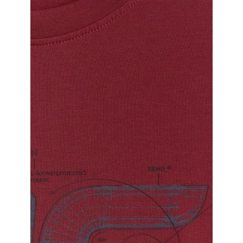 T-shirt regular z nadrukiem męski 4F 4FRSS26TTSHM3989-10S 4f