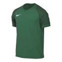 Koszulka Nike Dri-FIT Trophy VI HV8151-302 Nike