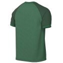 Koszulka Nike Dri-FIT Trophy VI HV8151-302 Nike