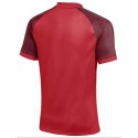 Koszulka Nike Dri-FIT Trophy VI HV8151-657 Nike