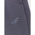 Spodenki dresowe chłopięce 4F 4FJRSS25TSHOM684-22S 4f