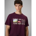 T-shirt regular z nadrukiem męski 4F 4FRSS26TTSHM3810-50S 4f