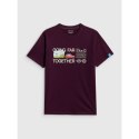 T-shirt regular z nadrukiem męski 4F 4FRSS26TTSHM3810-50S 4f