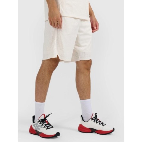 Niskie buty do sportów halowych Destroyer męskie 4F 4FRSS25FSPOM165-90S 4f