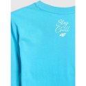 T-shirt regular z nadrukiem męski 4F 4FRSS26TTSHM4303-33S 4f